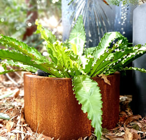 round plant pot