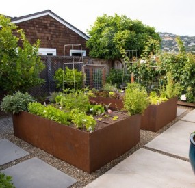 corten Steel planter pot